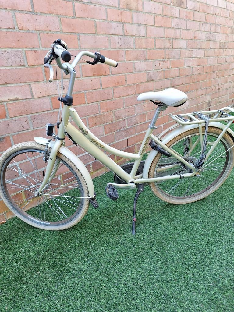 Meisjesfiets, Enlèvement