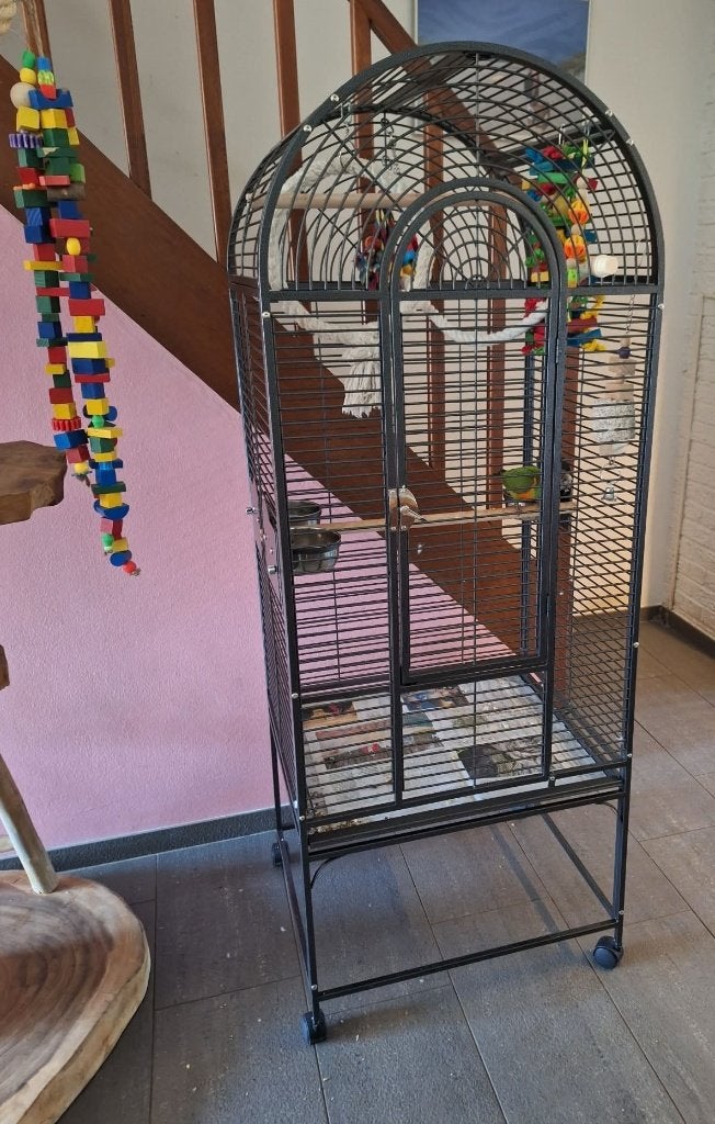 splinternieuwe papegaai kooi, Animaux & Accessoires, Oiseaux | Cages & Volières, Neuf, Cage à oiseaux, Métal, Enlèvement
