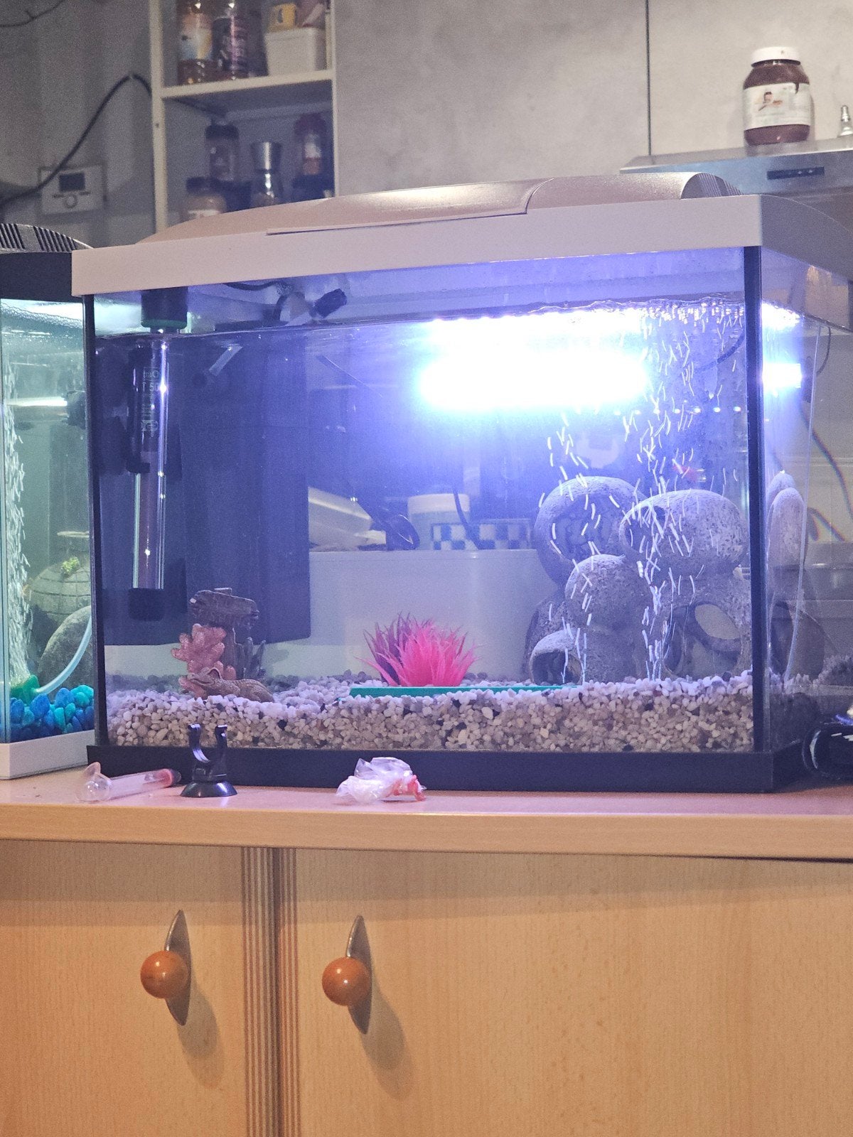 2 aquariums van 45L, Dieren en Toebehoren, Ophalen, Verwarming, Filter