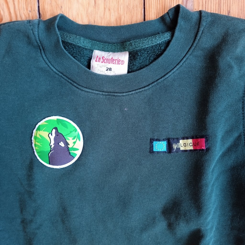 Pull louveteau/louvette 8 ans, La Scouterie, Garçon ou Fille, Enlèvement ou Envoi, Pull ou Veste