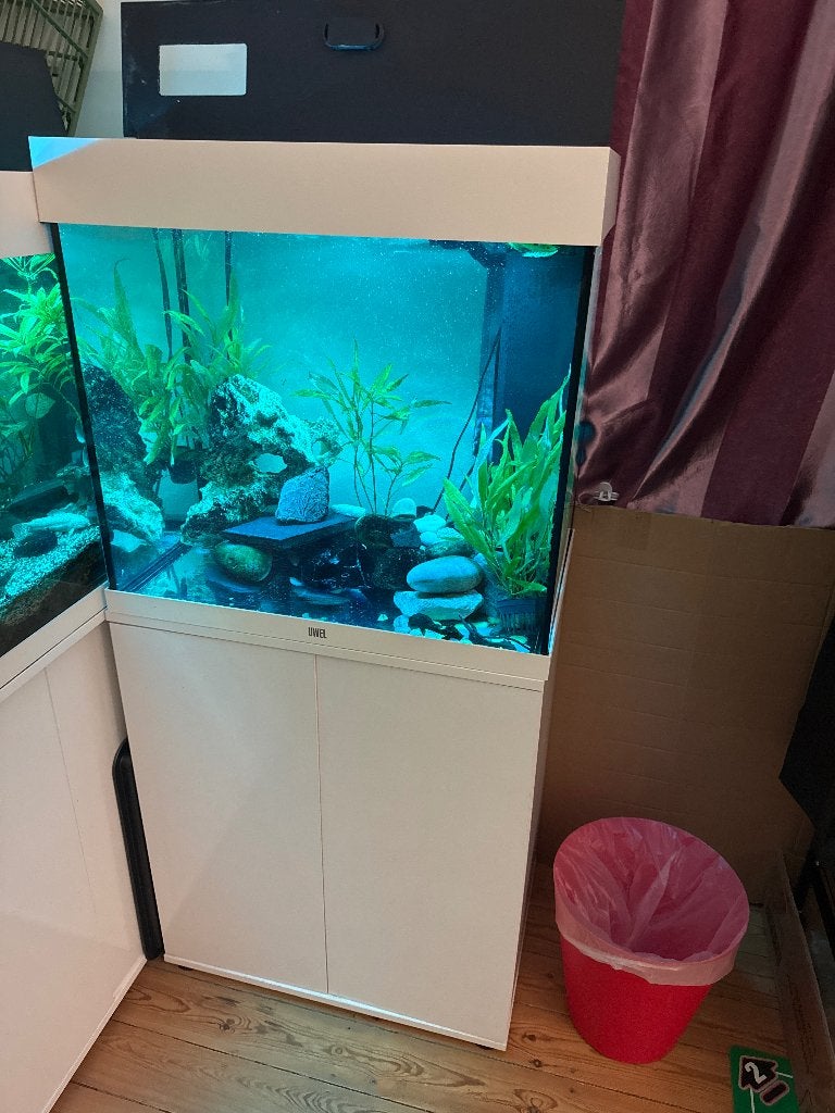 Juwel lido 120 blanc avec mobilier, Poisson, Poisson d'eau douce
