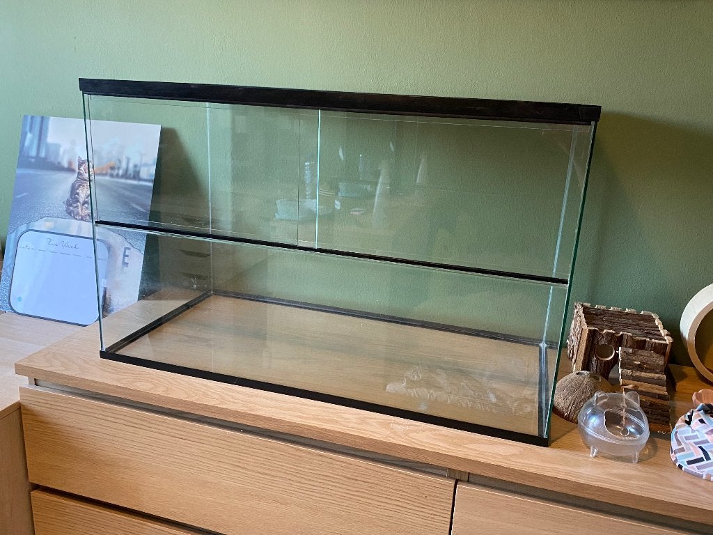 Hamster terrarium met benodigdheden, Ophalen, Hamster