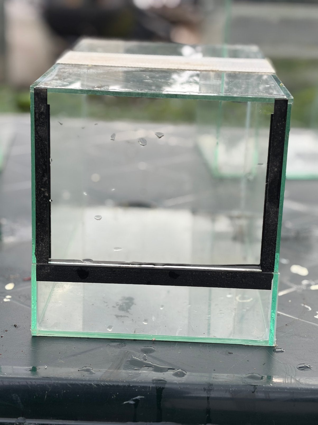 Terrarium, Dieren en Toebehoren, Spin of Schorpioen