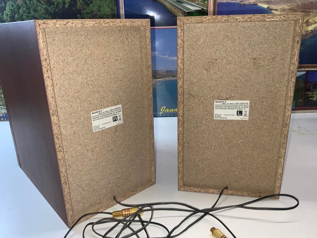 ENCEINTES SONY SS-CSPZ70 2 VOIES POUR MICRO-CHAINES SONY, Enlèvement, Comme neuf, Sony