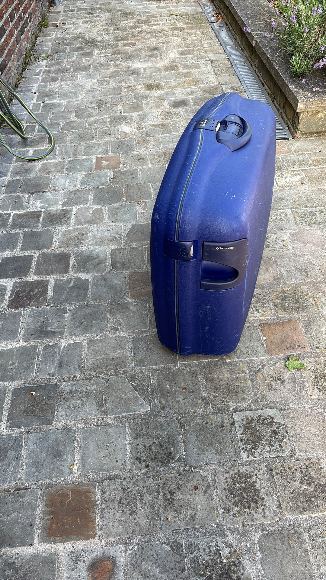 Valise samsonite, Enlèvement