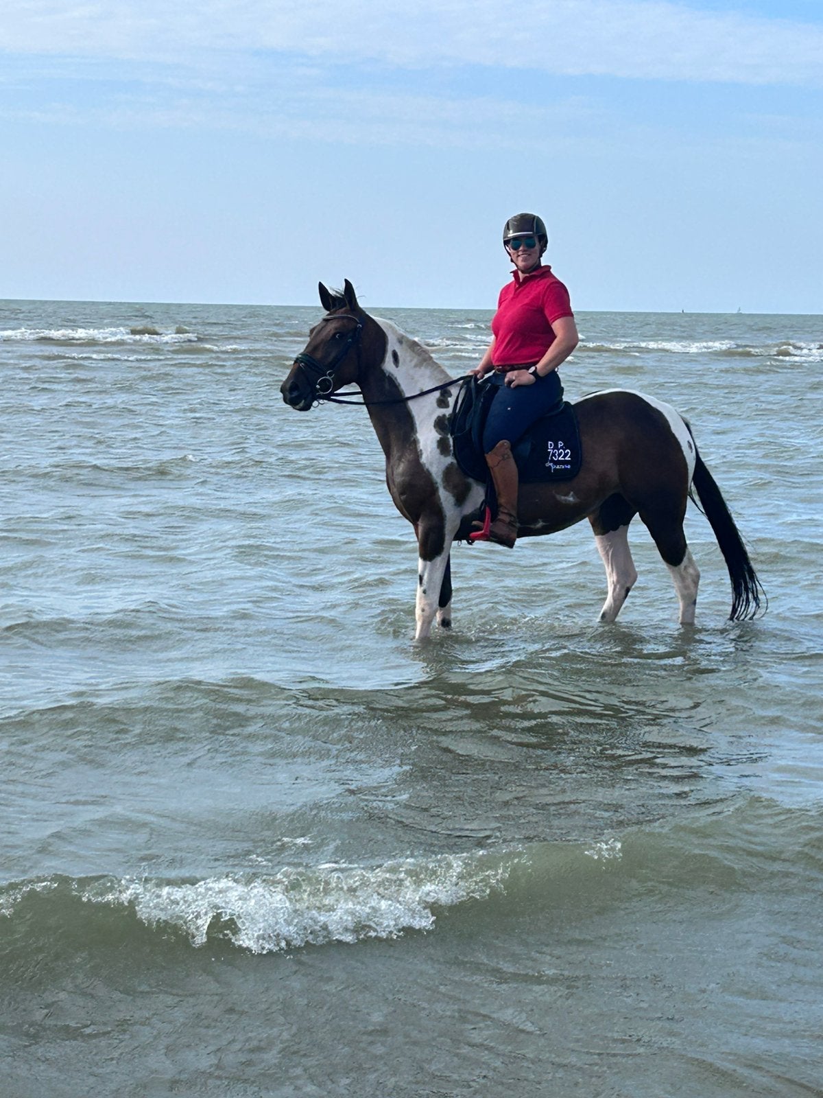 Super tof recreatie paardje, B, Avec puce électronique, Moins de 160 cm, Cheval de récréation