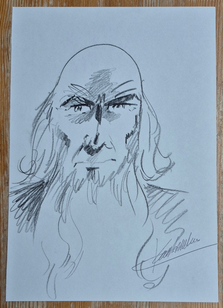De Rode Ridder opdrachttekening Merlijn door Karel Biddeloo, Verzenden, Overige figuren, Zo goed als nieuw, Overige typen