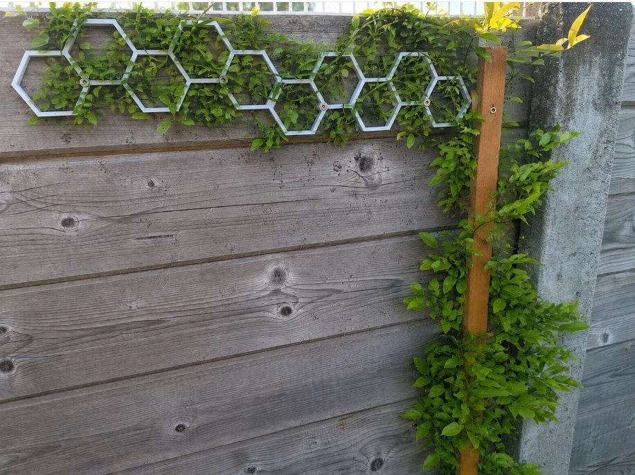 Plant ondersteuning / geleiding klimplant, Hobby en Vrije tijd, Ophalen of Verzenden, Nieuw