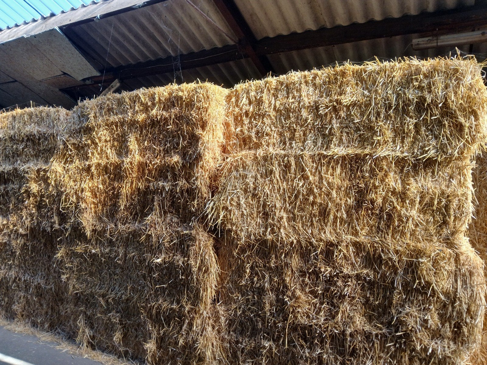 Kleine en grote balen stro., Zakelijke goederen, Landbouw | Veevoer, Ophalen