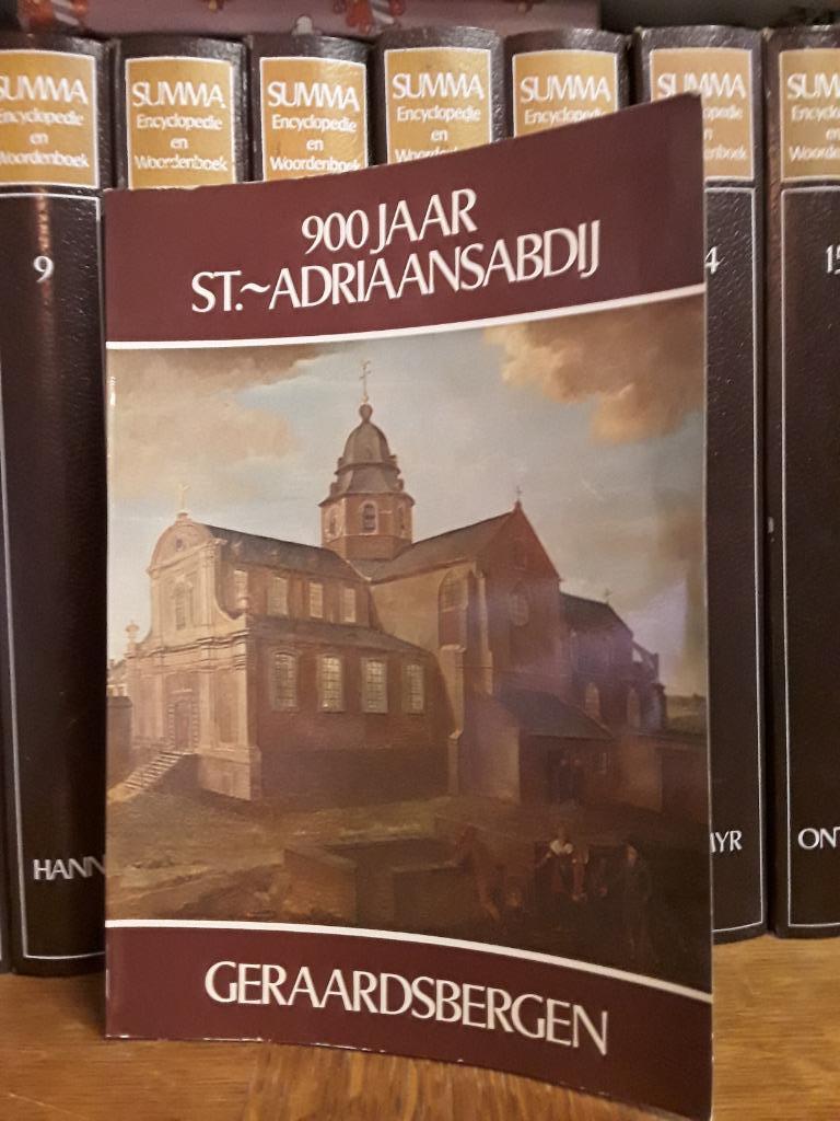 Pakket Geschiedenis van Geraardsbergen, Boeken, Geschiedenis | Stad en Regio, Gelezen, Ophalen of Verzenden