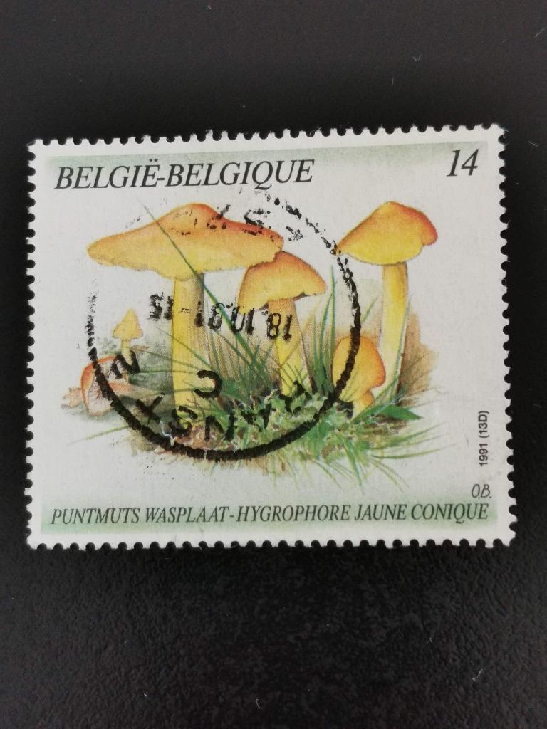 Belgique 1991 - champignons - chapeau pointu en cire, Enlèvement ou Envoi, Affranchi