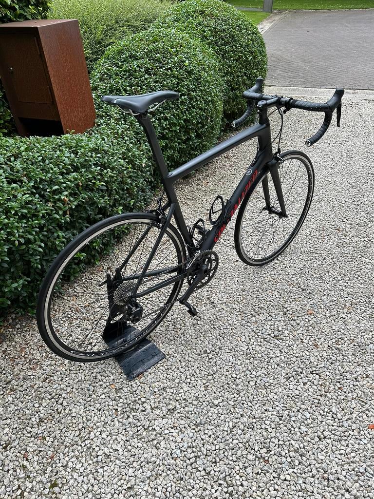 Specialized Pro 58 (Carbon) + Fulcrum velgen, 28 inch, Gebruikt, Carbon, Heren