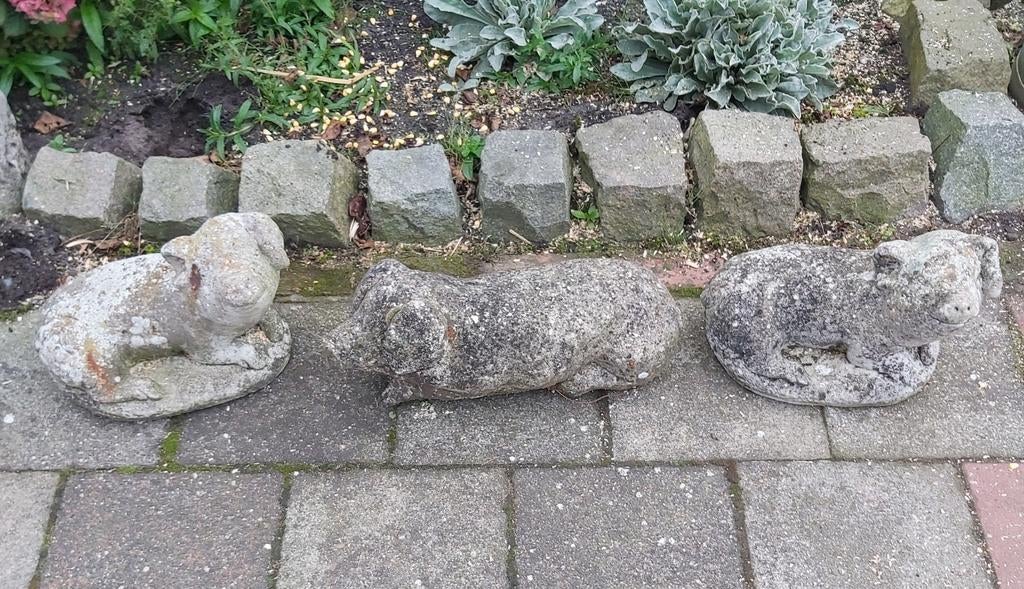 Beeld beelden betonnen beelden betonnen varkens, Enlèvement