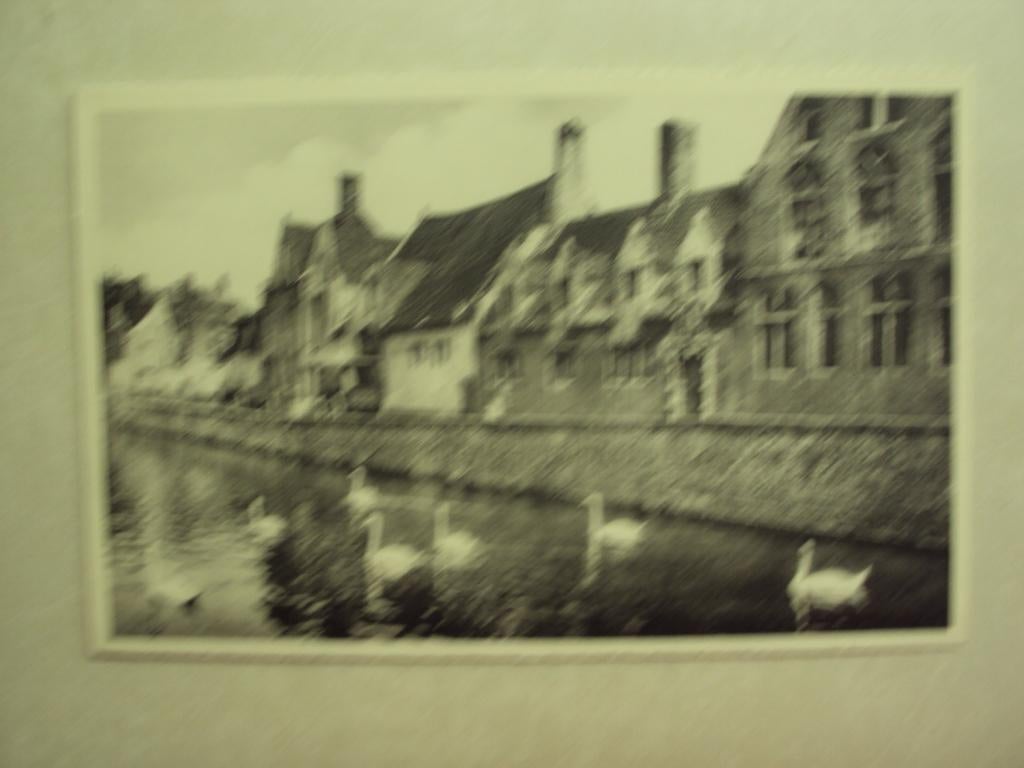 55121 - BRUGGE - GROENE REI - GODSHUIS DE PELIKAAN, Verzenden