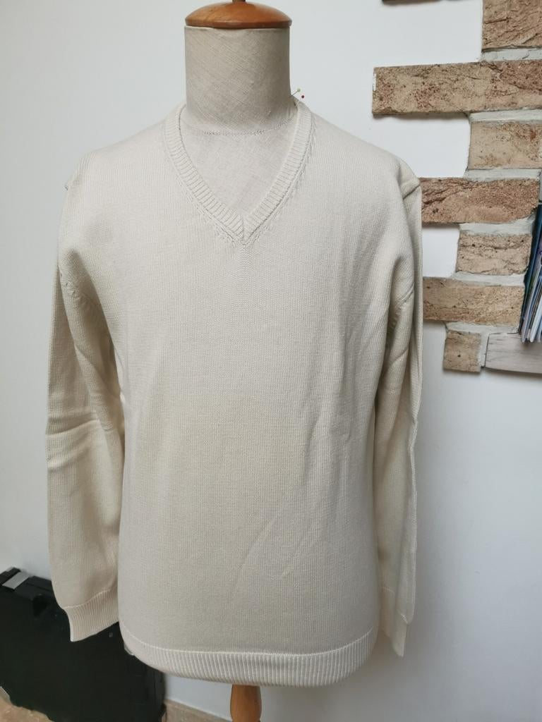 Joli pull homme en coton, Enlèvement ou Envoi, Neuf, Taille 48/50 (M)