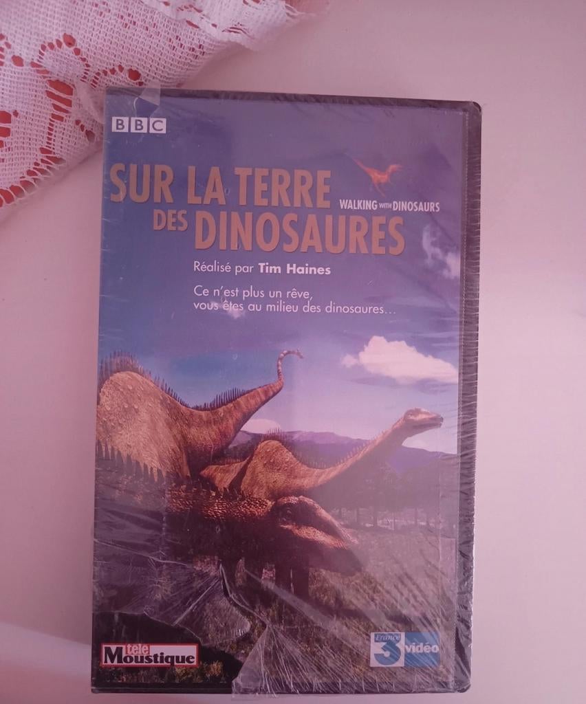 Cassette VHS "Sur la terre des dinosaures", CD & DVD, DVD | Documentaires & Films pédagogiques, Tous les âges, Enlèvement ou Envoi