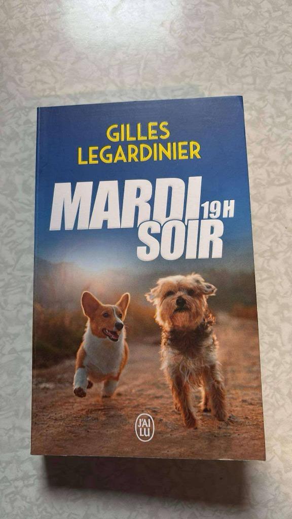 Gilles Legardinier - Mardi soir 19 H, Livres, Enlèvement, Utilisé