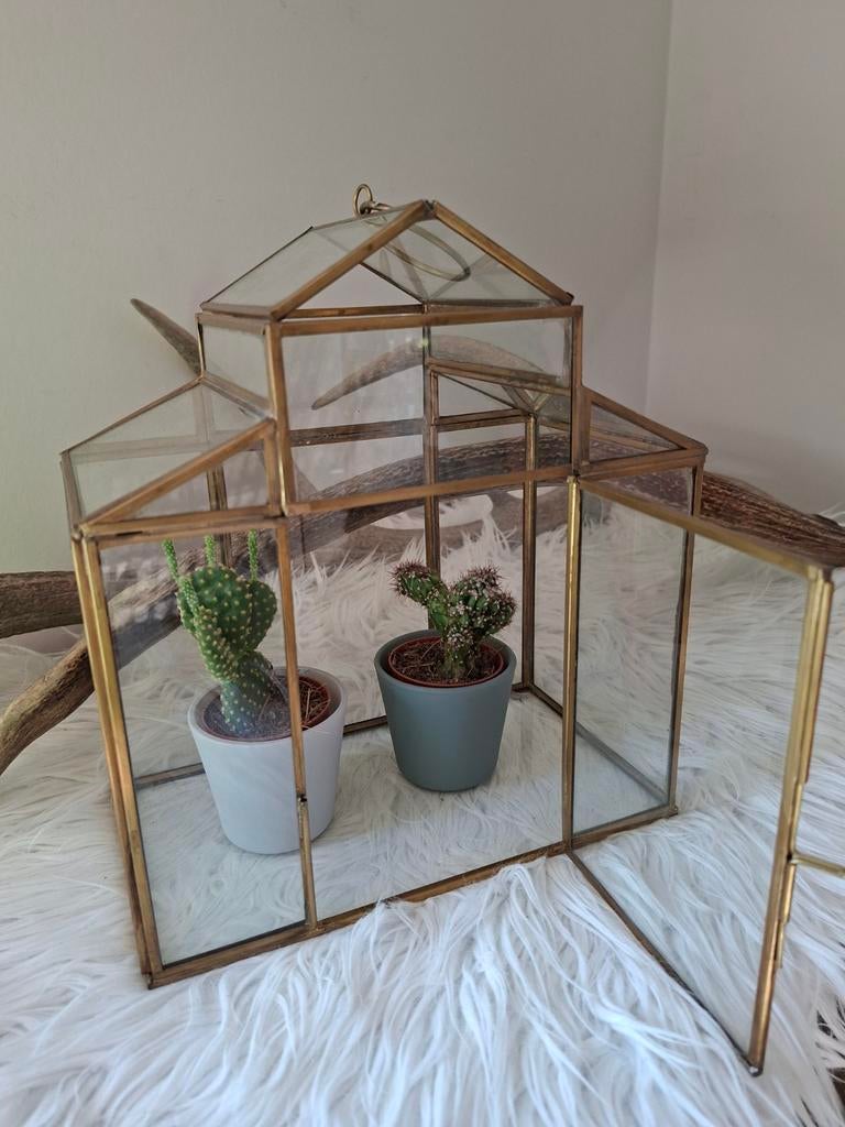 Planten terrarium serrehuisje goudkleurig, Ophalen of Verzenden