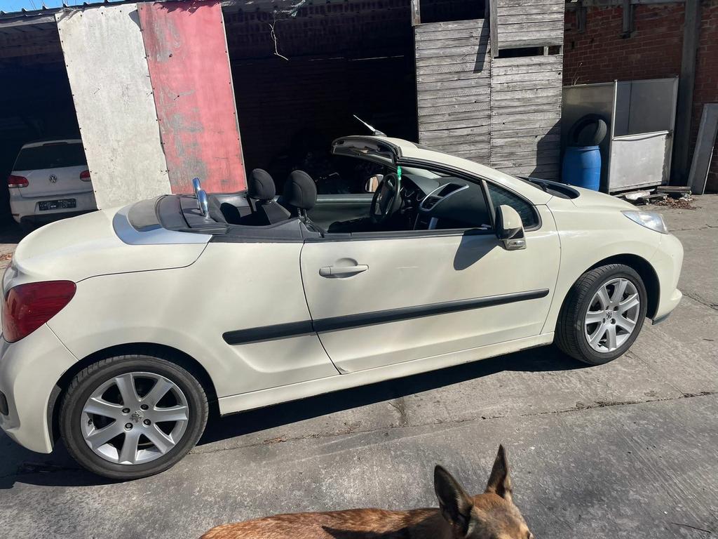 Peugeot 207 cc, Autos, Peugeot, Achat, Cabriolet, Noir, Particulier