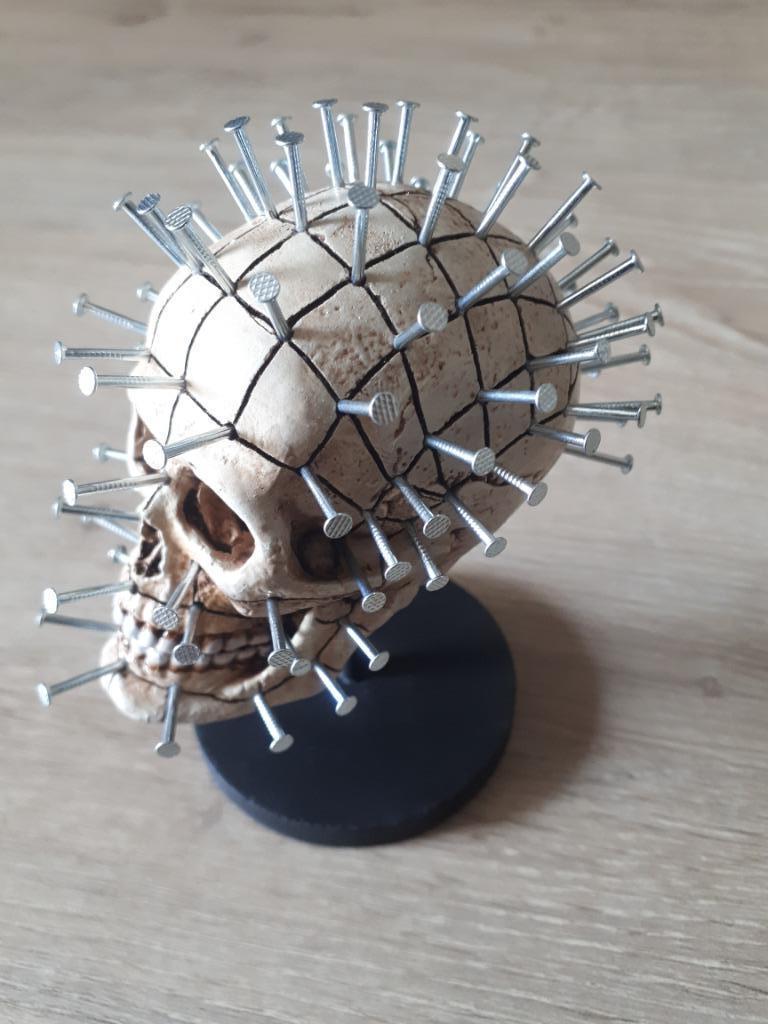 Pinhead Skull., Ophalen of Verzenden, Nieuw