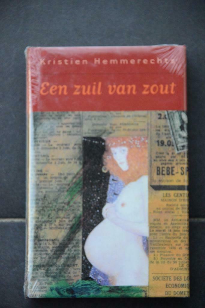 Een zuil van zout. Kristien Hemmerechts., Ophalen of Verzenden, Nieuw, Kristien Hemmerechts., België