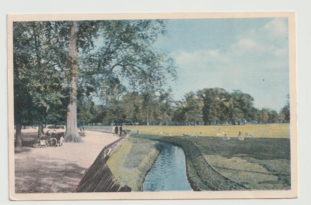 Den Haag Hertenkamp Koekamp, Collections, Cartes postales | Pays-Bas, Enlèvement ou Envoi, Affranchie, Hollande-Méridionale