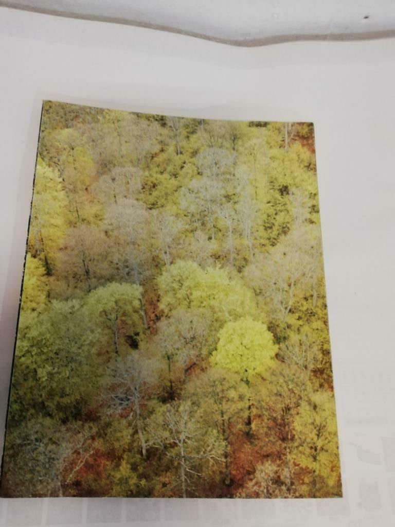 * Sabena tijdschrift: Revue  1973 nr.2, Verzamelen, Ophalen of Verzenden, Gebruikt, Boek of Tijdschrift
