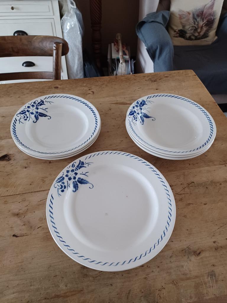 BOCH BLAUWE KLOKJESBLOEM BORDEN vanaf 2.50 euro per stuk, Ophalen of Verzenden