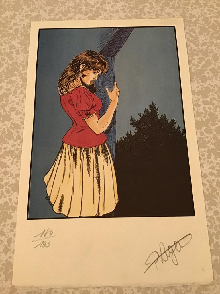 Sérigraphie, Livres, BD, Comme neuf