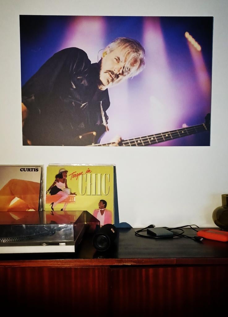 Diverse concertfoto's op alu 60 x 90 cm, Ophalen of Verzenden, Nieuw