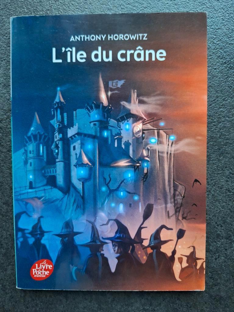 L'ïle du crâne - Anthony Horowitz, Livres, Enlèvement ou Envoi, Comme neuf, Anthony horowitz, Fiction