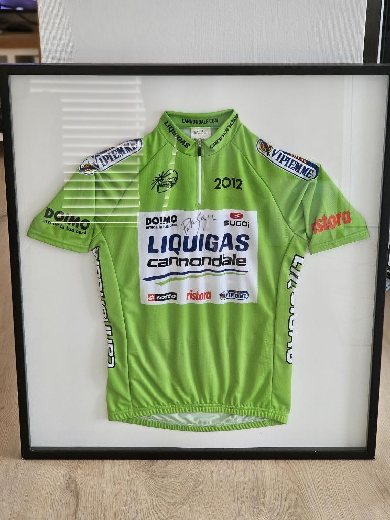 peter sagan Wielertruitje gesigneerd, Enlèvement