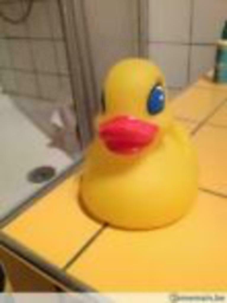 grand canard, Enlèvement