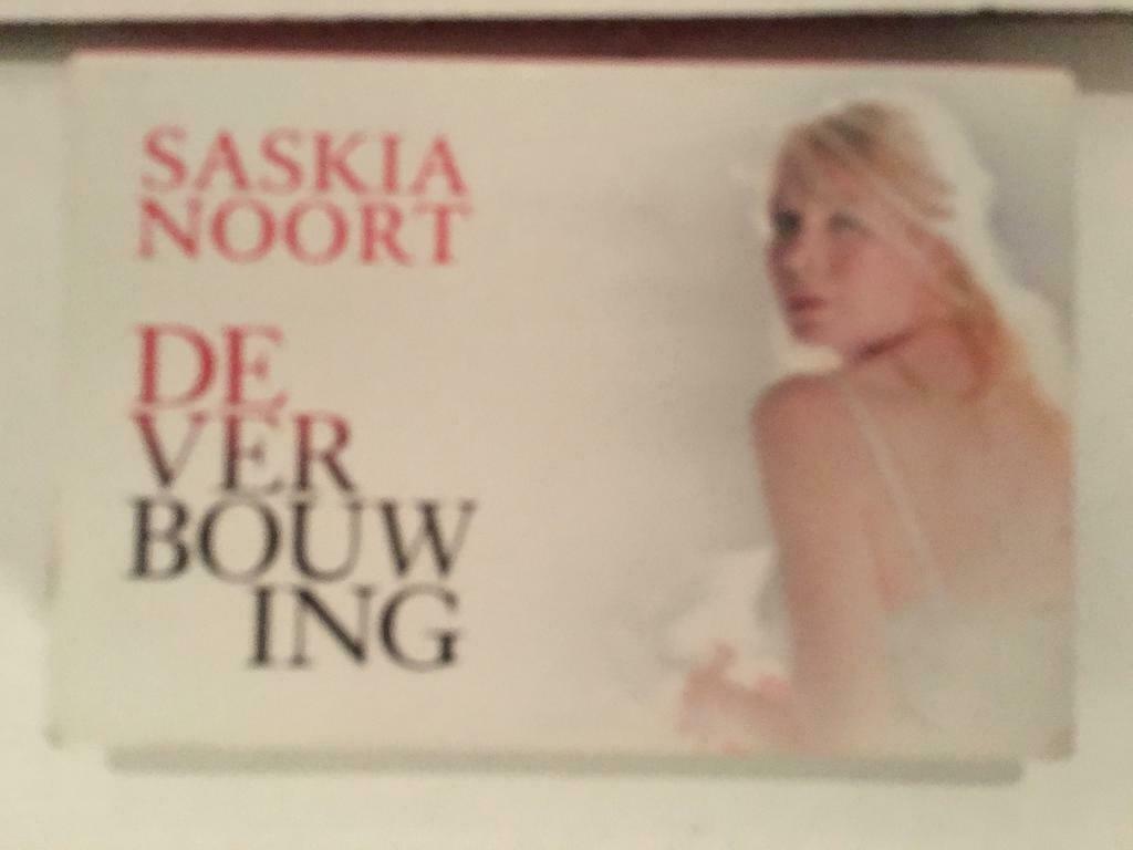 De verbouwing - Saskia Noort - dwarsligger - zgan, Boeken, Verzenden, Nieuw, Saskia Noort, Nederland