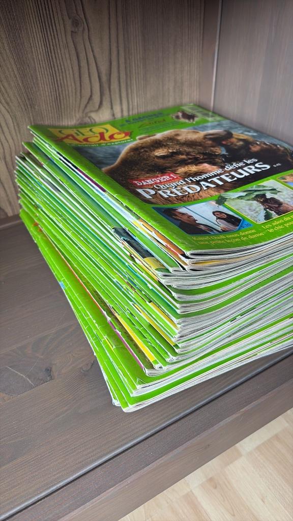 Magazines geo ado, Livres, Enlèvement