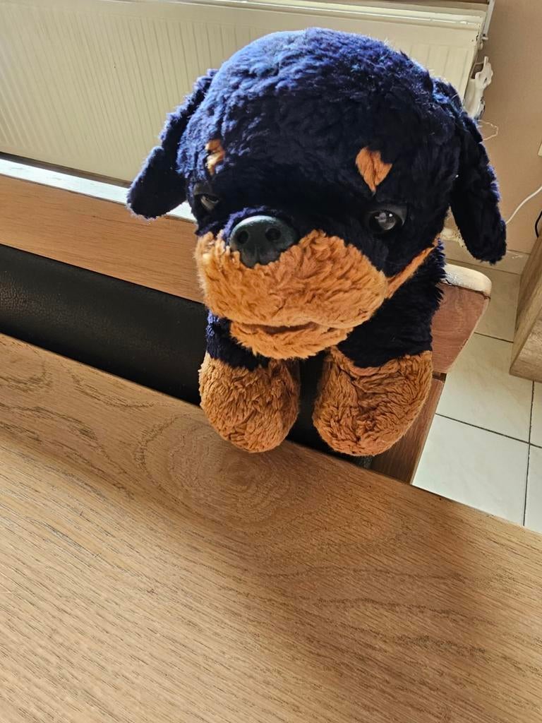 Knuffel rottweiler, Enlèvement