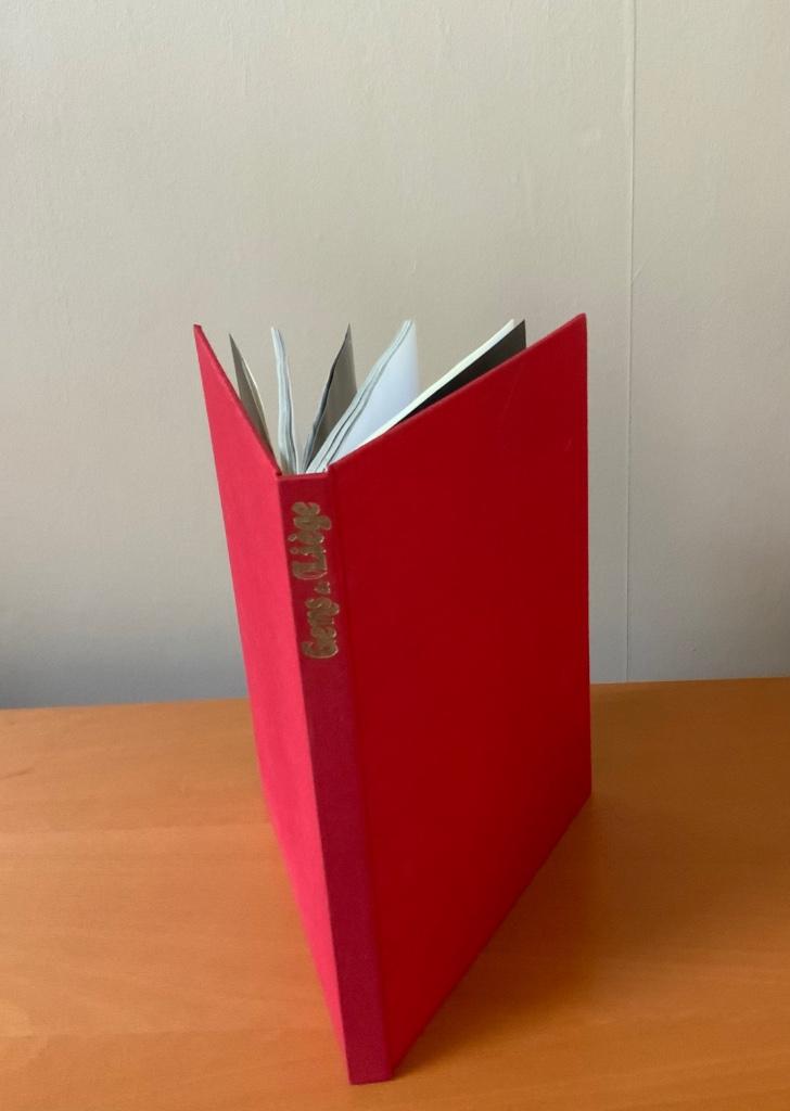 Ouvrage « Gens de Liège », Maatschappij en Samenleving, Ophalen of Verzenden, Zo goed als nieuw, Pierre Mardaga