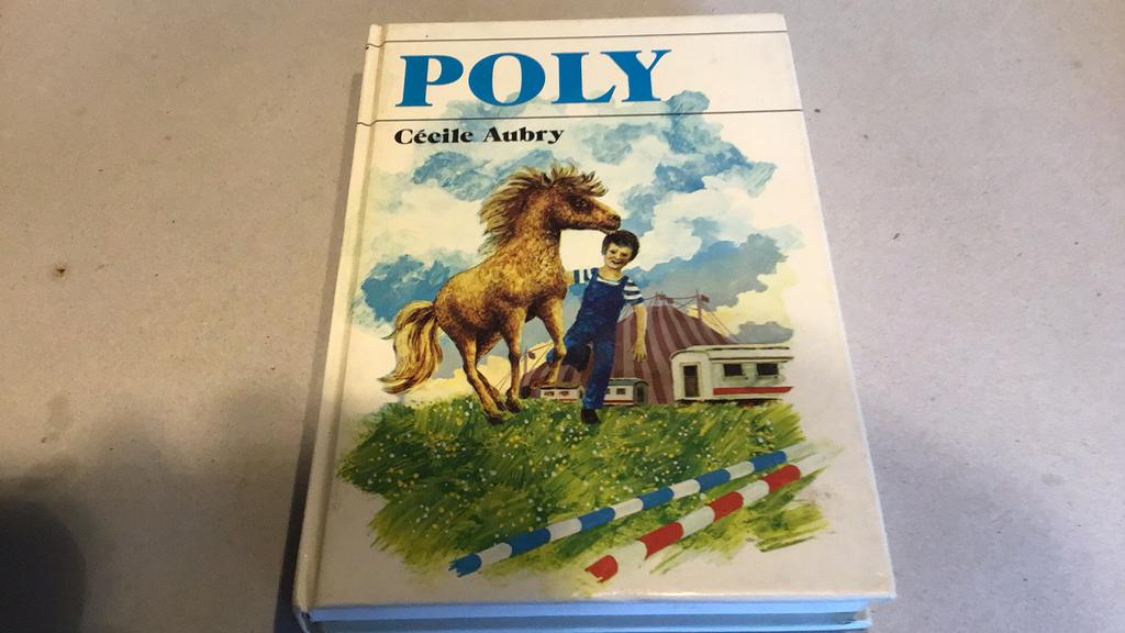 Poly (d6), Enlèvement ou Envoi, Utilisé, Cecile aubry, Fiction général
