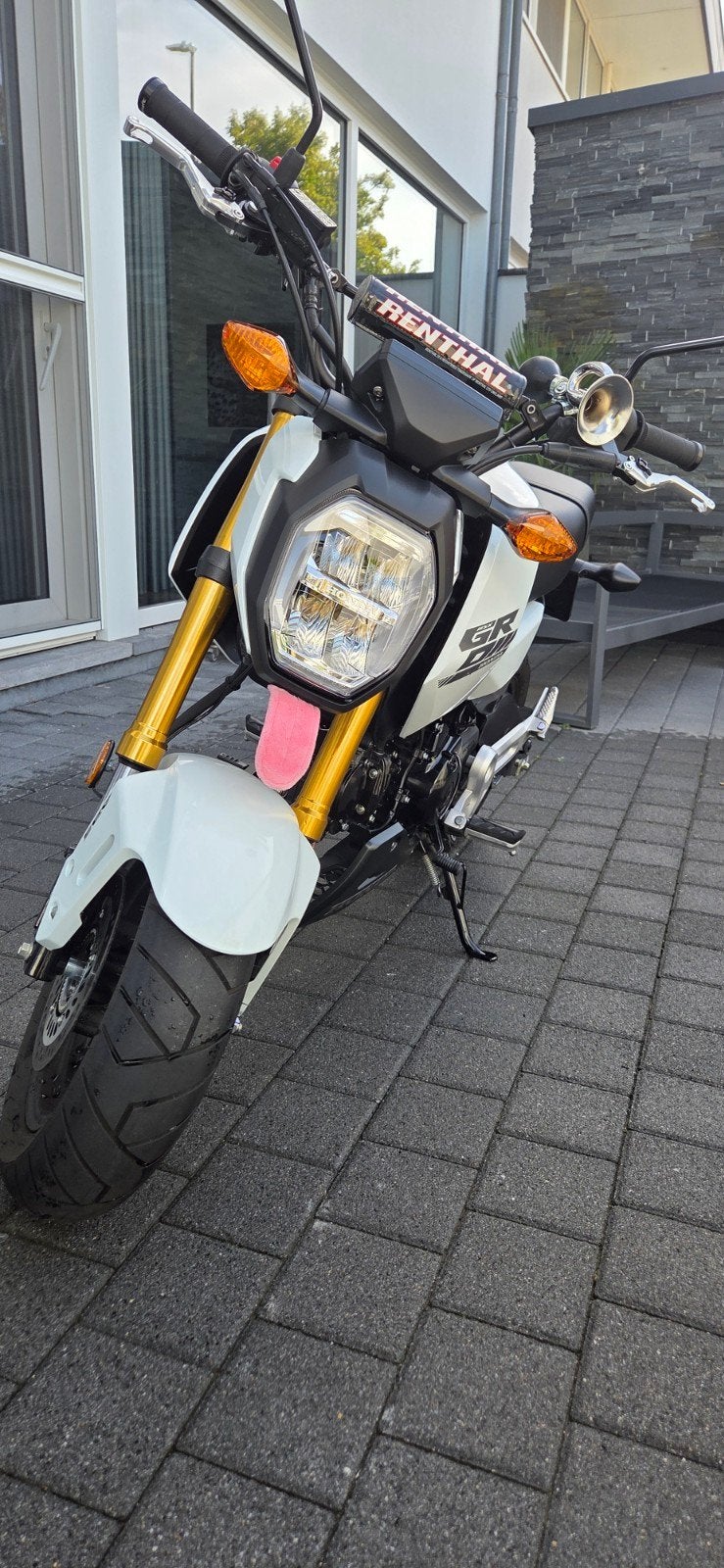 Honda MSX 125 | Model 2025, Motos, Occasion, Permis Moto A1 minimum, Particulier, ABS