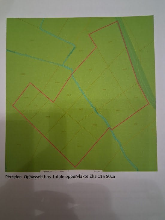Bos gelegen te Geraardsbergen - Ophasselt, 1500 m² ou plus