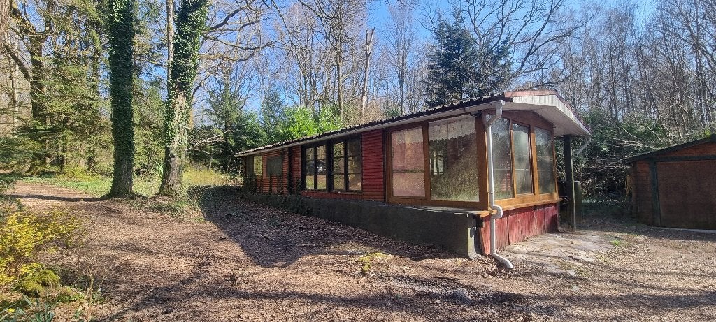 Chalet à rénover situé à Viroinval, Immo, Maisons à vendre, Province de Namur, 1500 m² ou plus, Maison individuelle, F
