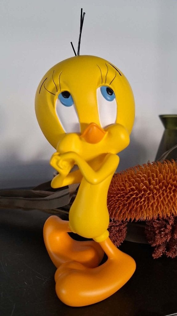 Démons & Merveilles Tweety S03, Ophalen, Zo goed als nieuw