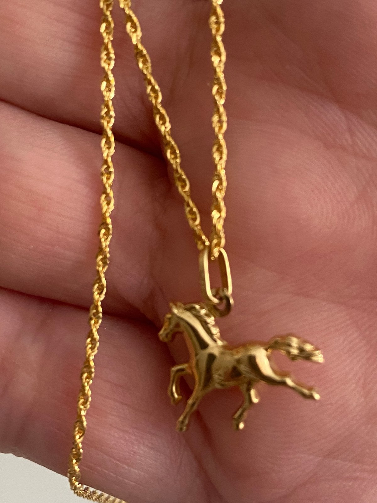 18k gouden paardenhanger, Ophalen, Zo goed als nieuw, Goud, Goud