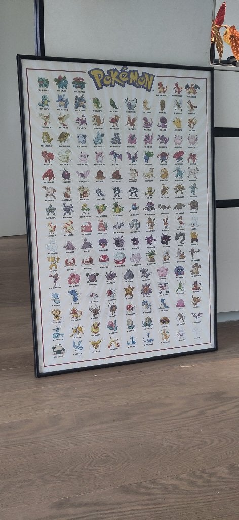 Pokémon poster + kader, Ophalen, Zo goed als nieuw