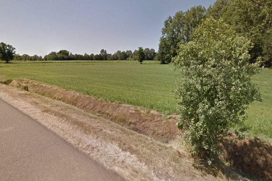 TE KOOP  weide halve hectare, Immo, Gronden en Bouwgronden, Hamont achel, Verkoop zonder makelaar, 1500 m² of meer