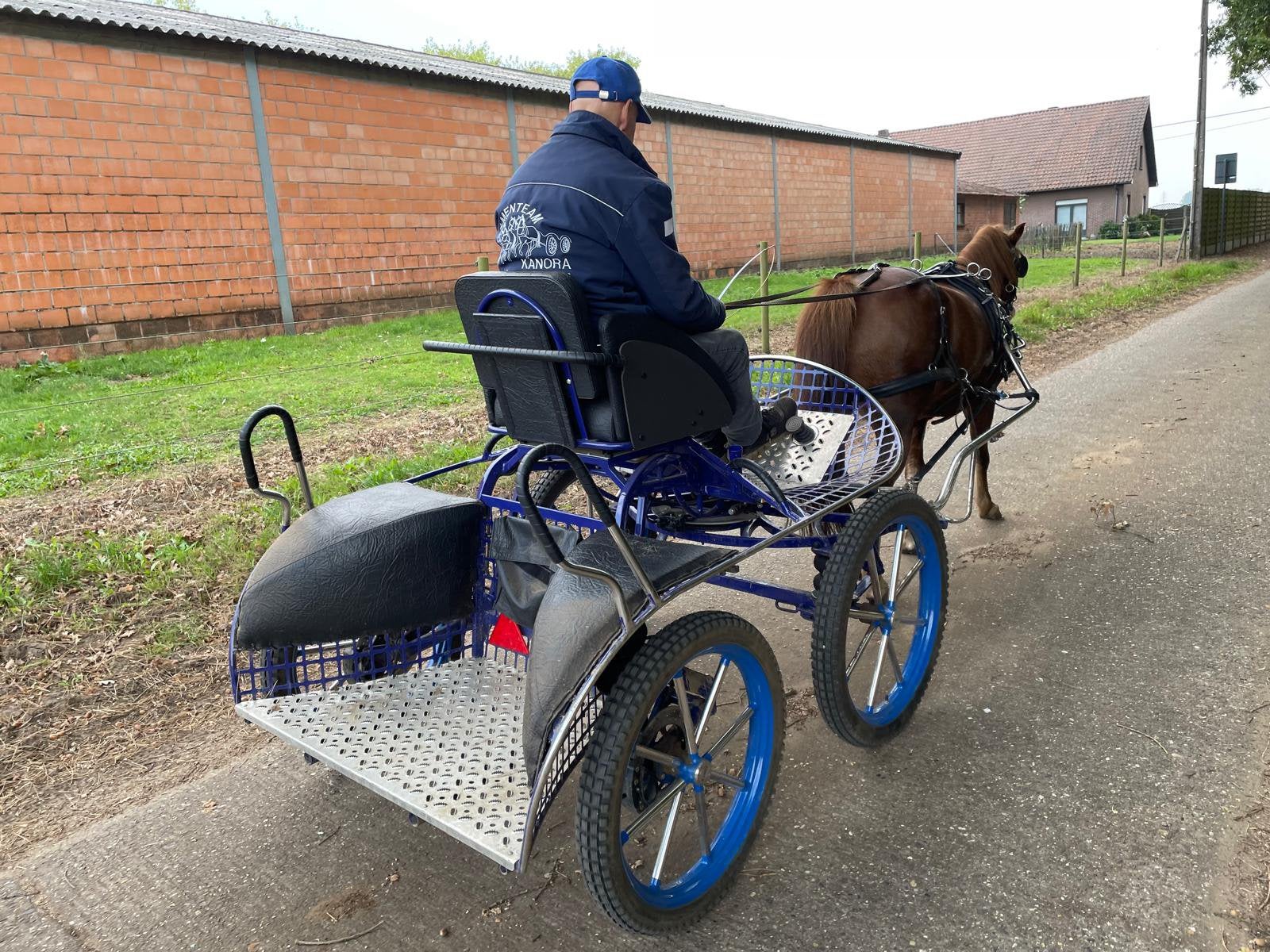 Marathon koets, Dieren en Toebehoren, Zo goed als nieuw, Pony