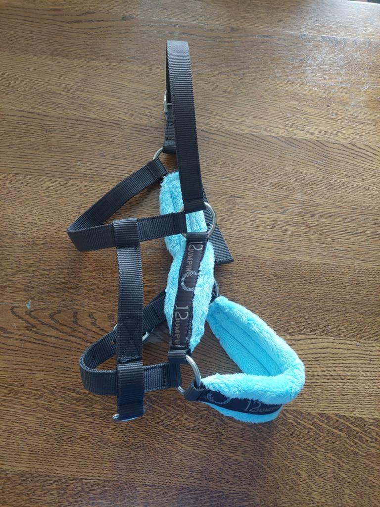 Paarden halsters, Animaux & Accessoires, Chevaux
