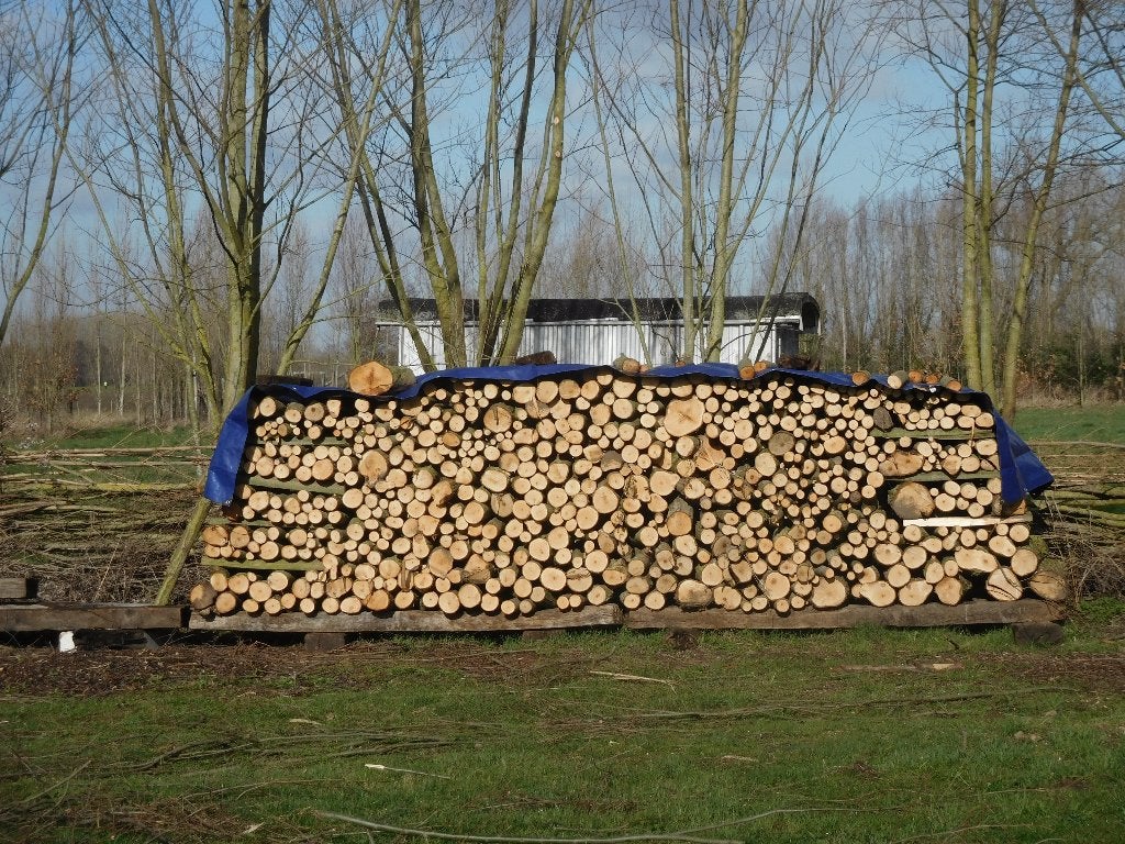 bois de chauffage, 6 m³ ou plus, Enlèvement, Autres essences de bois, Bûches