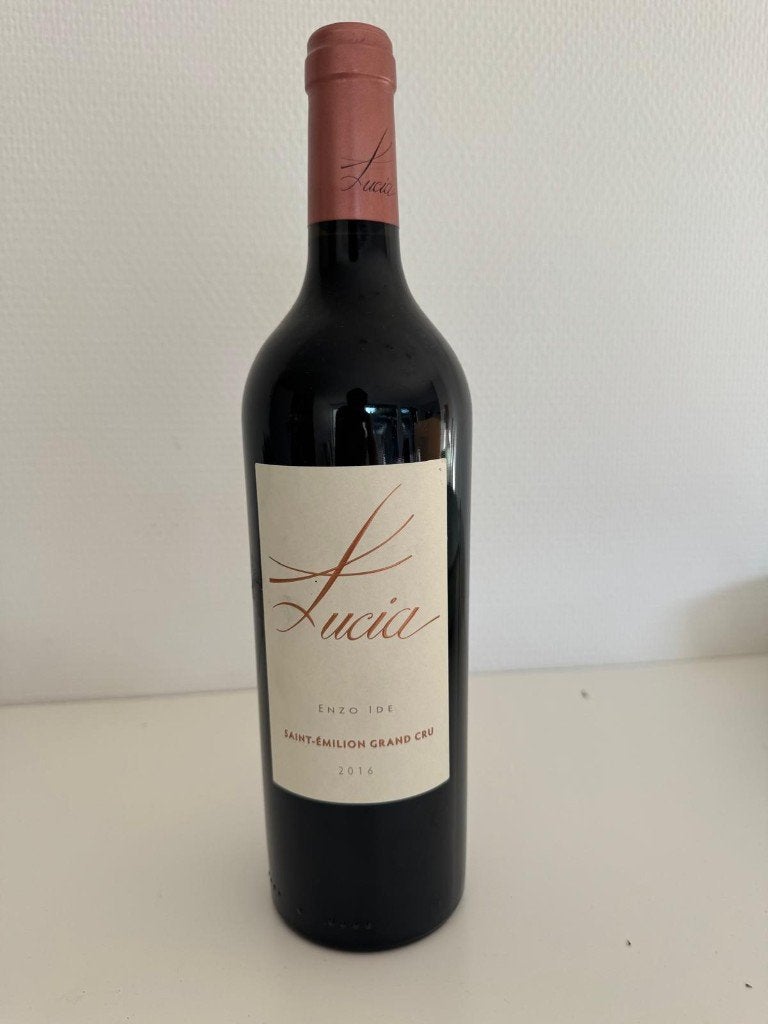 lucia enzo ide saint emilion grand cru 2016, Ophalen of Verzenden, Frankrijk