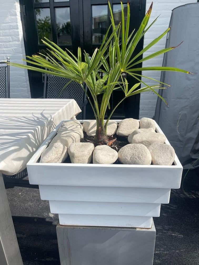 NIEUWE witte bloempot plantenbak Fiberstone Jan Des Bouvrie, Tuin en Terras, Kunststof, 40 cm of meer, Vierkant, Nieuw